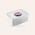 Shea Butter Salt Scrub – Black Orchid 1 kg